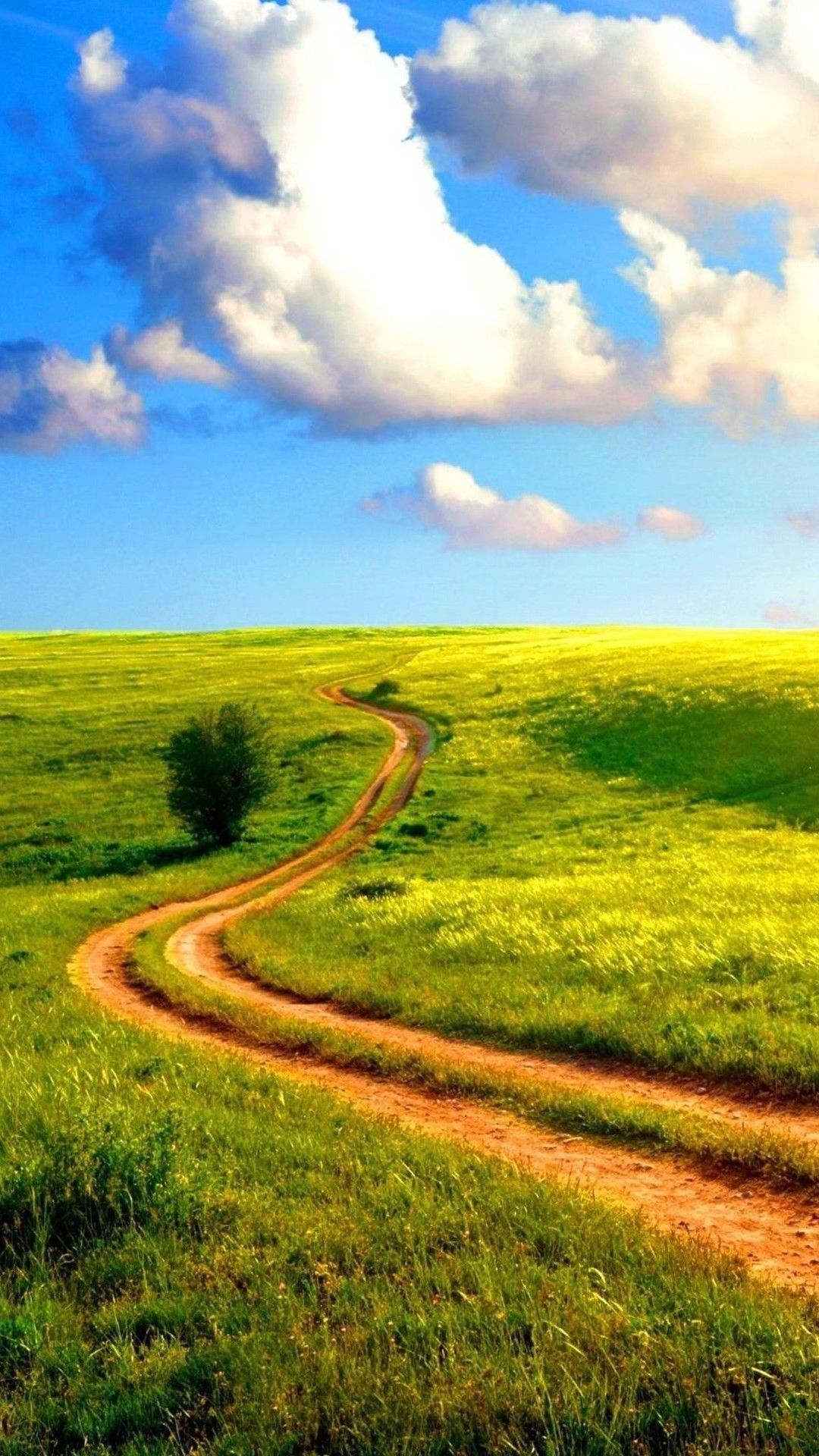 HD Nature Phone Wallpaper On
