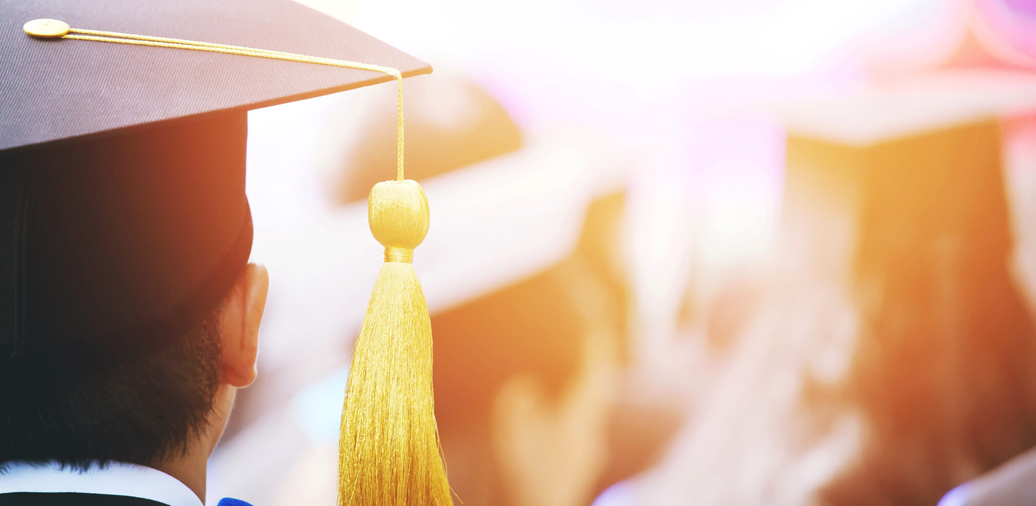 Higher Education Background Checks For Staff High Profile Roles