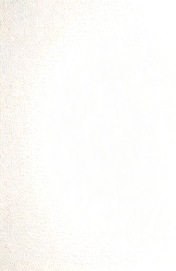 White Background Wallpaper