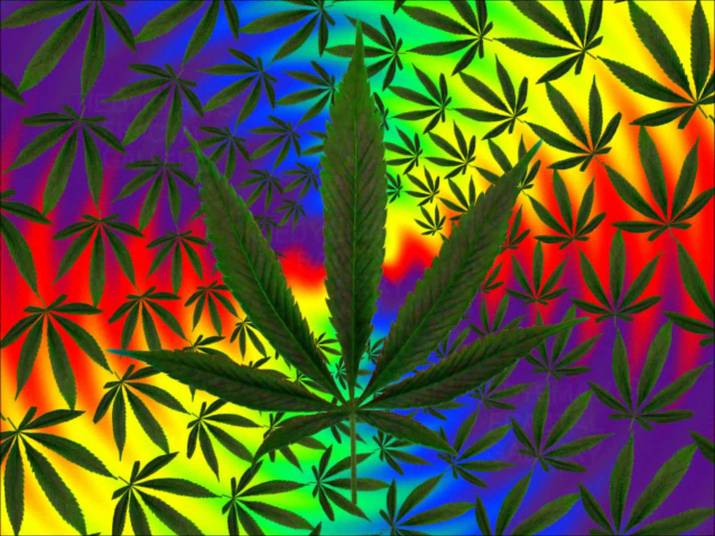 Displaying Image For Trippy Pot Leaves