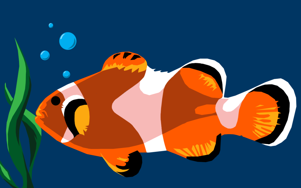 Clownfish Wallpaper Desktop Background