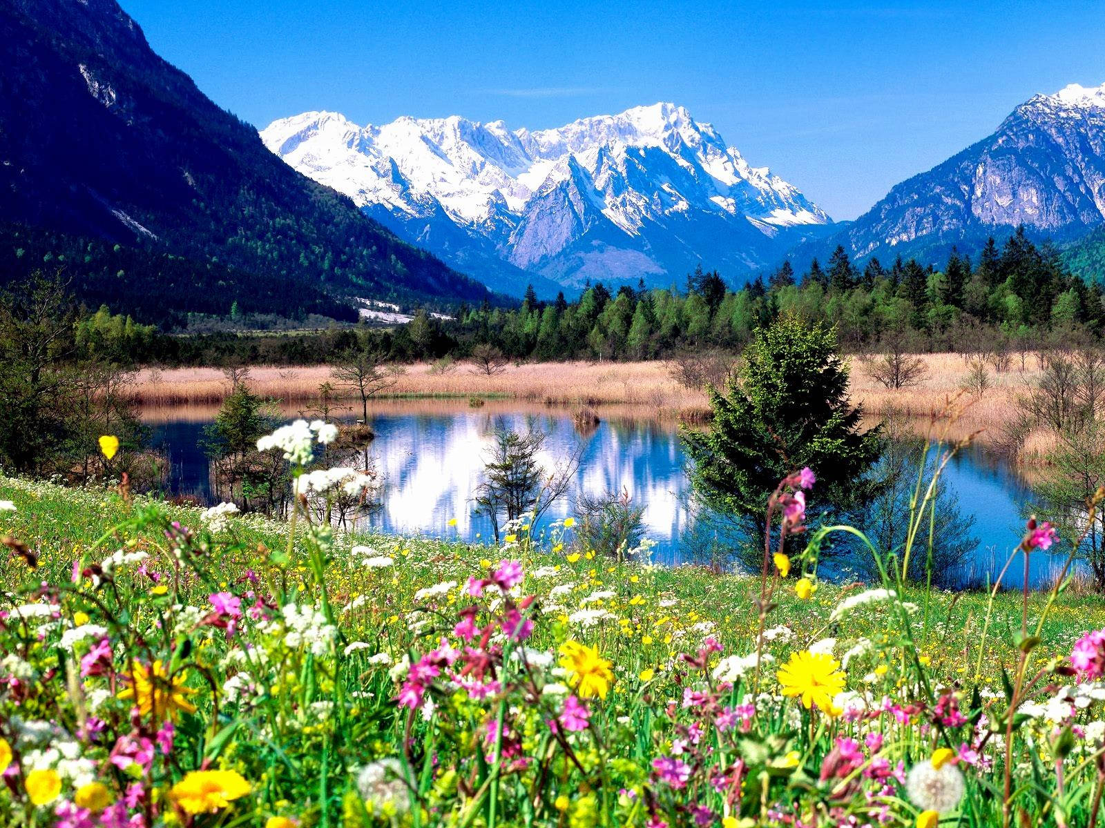 Beautiful Spring Wallpaper For Desktop