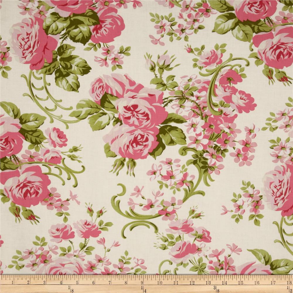 Pirouette Cabbage Rose Ivory