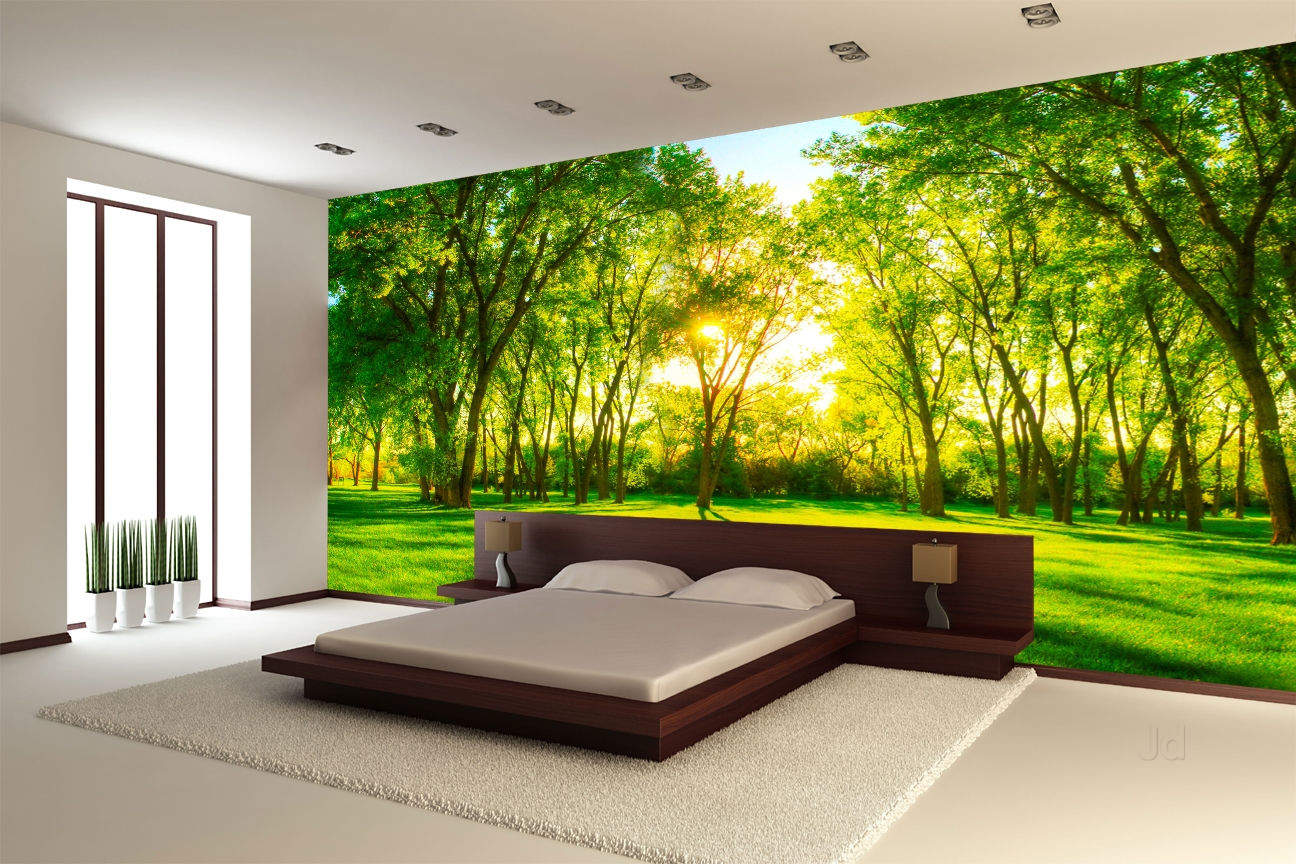 Innovative Walls Wallpaper Gallery Photos College Road Indore