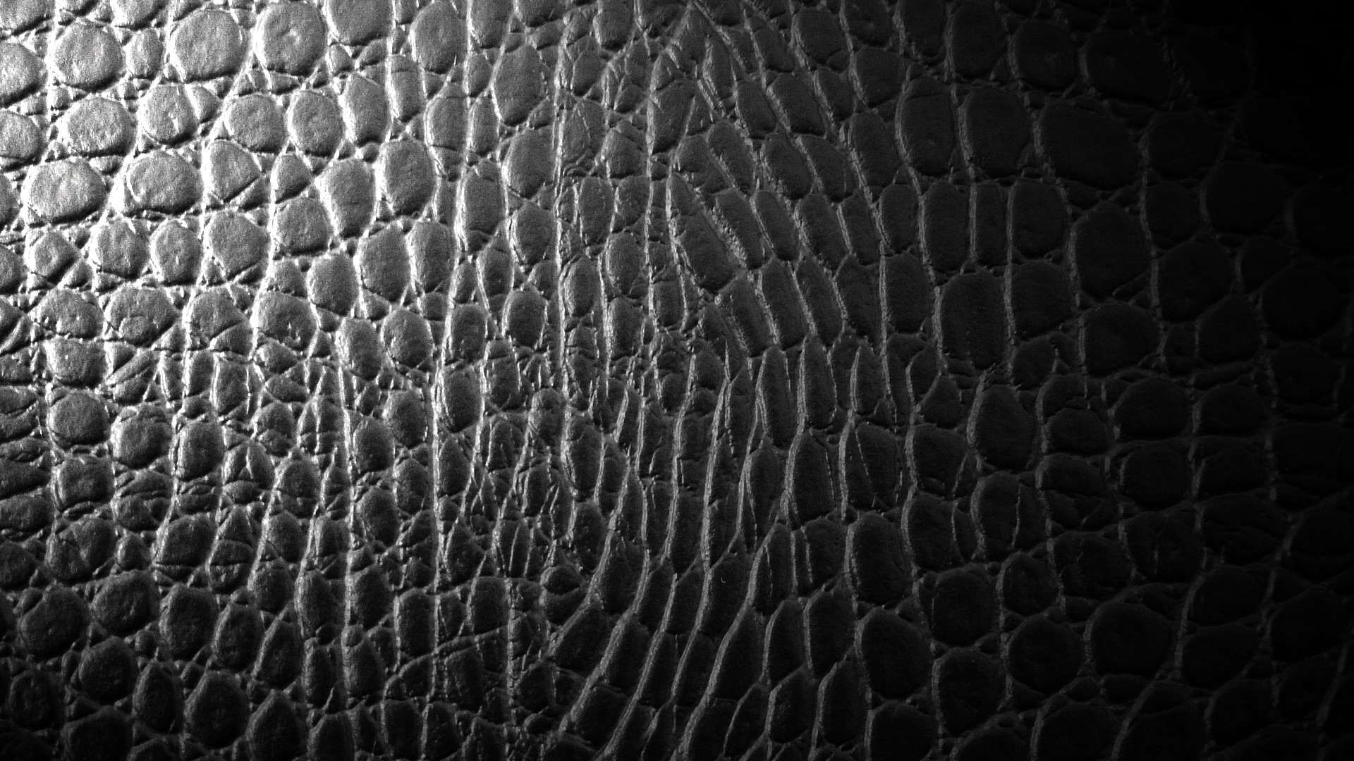 Crocodile Skin Texture HD Wallpaper