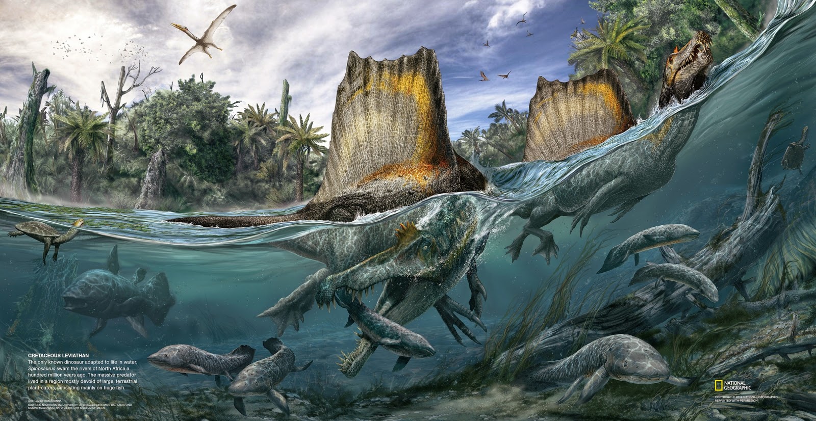 Spinosaurus Fishiness Part N Sauropod Vertebra Picture Of The Week