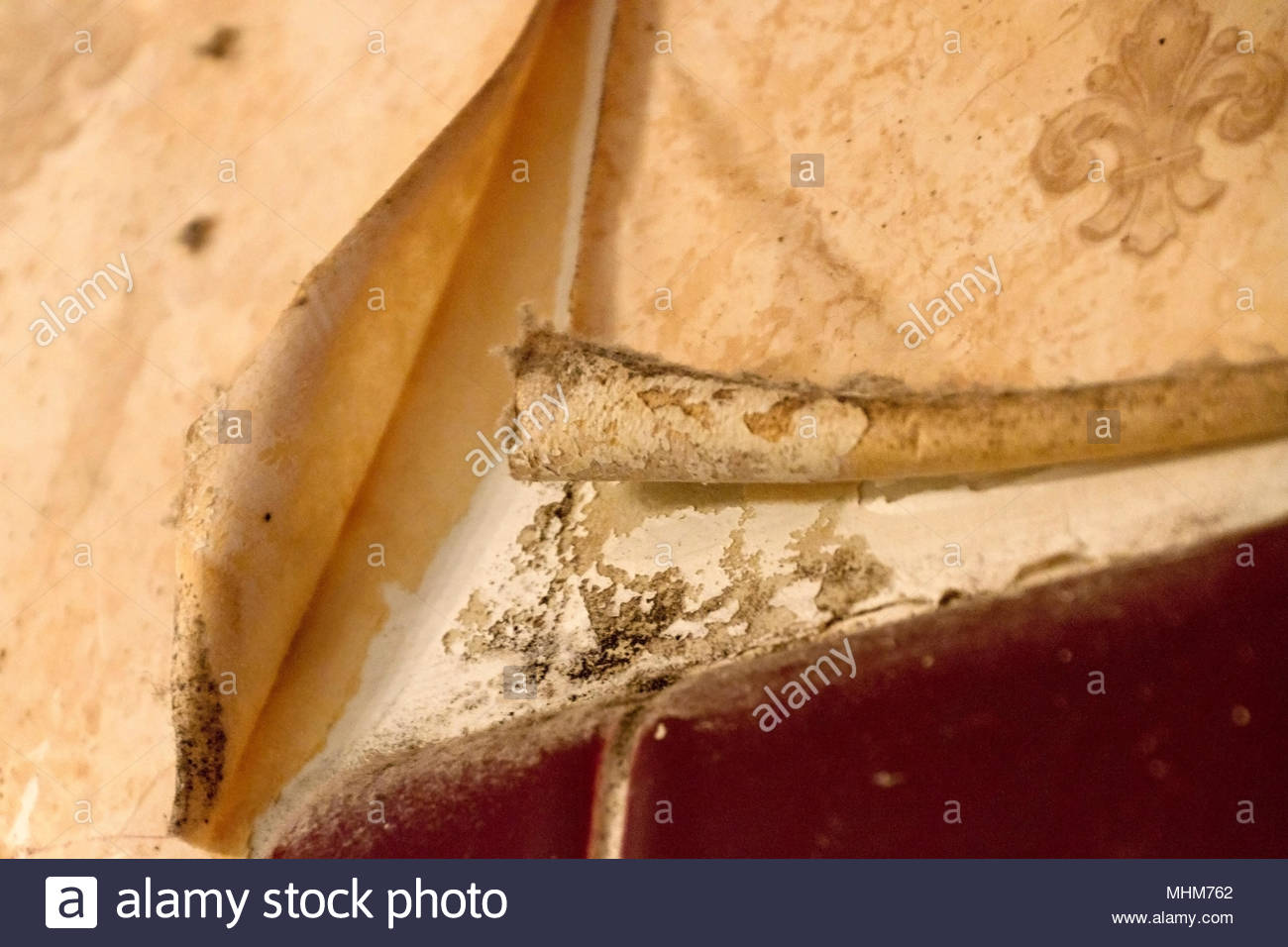 Free download Close up of moldy peeling wallpaper and shower tile in an