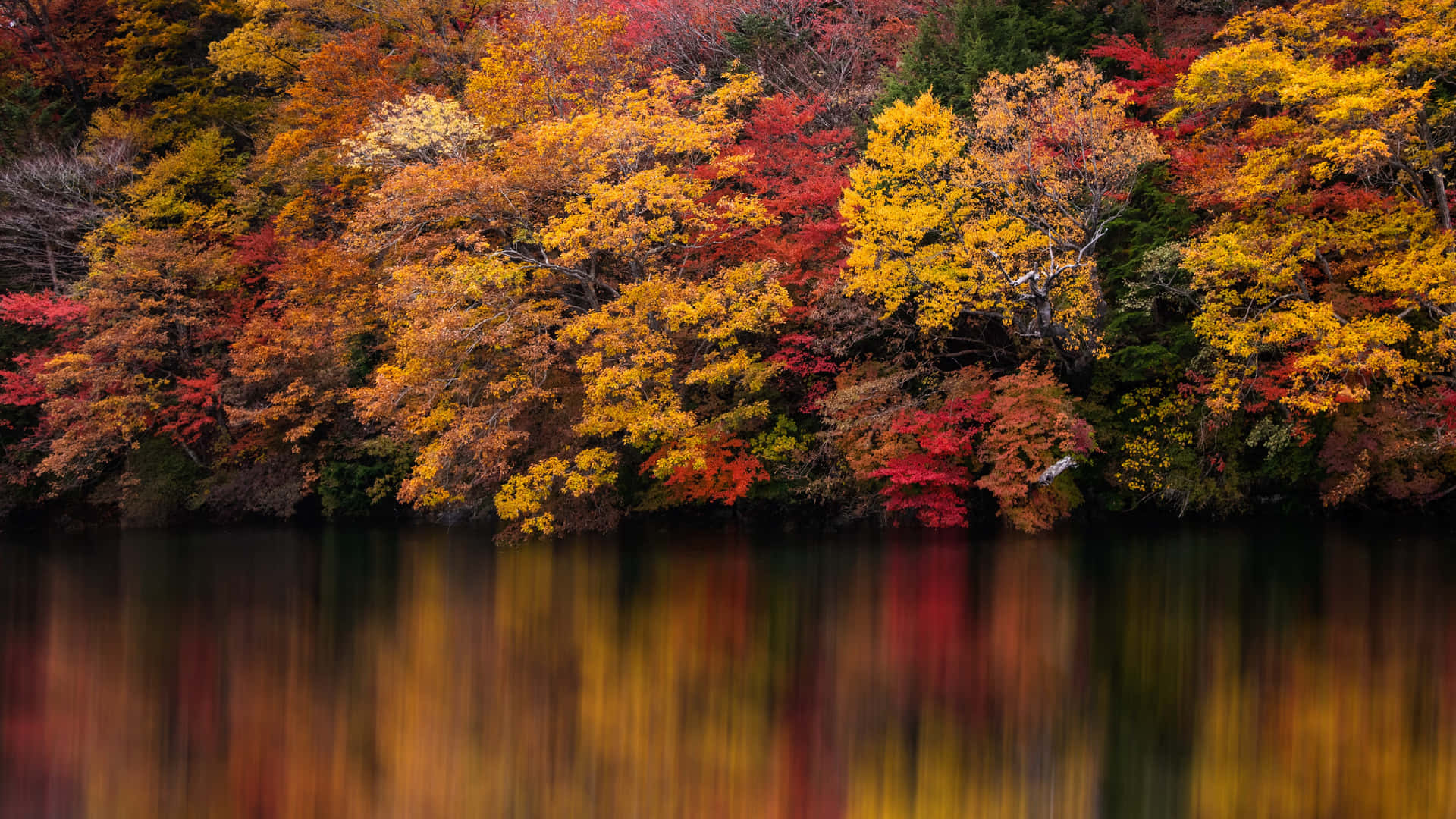 Enjoy The Colorful Changing Of Seasons With A 4k Fall Wallpaper