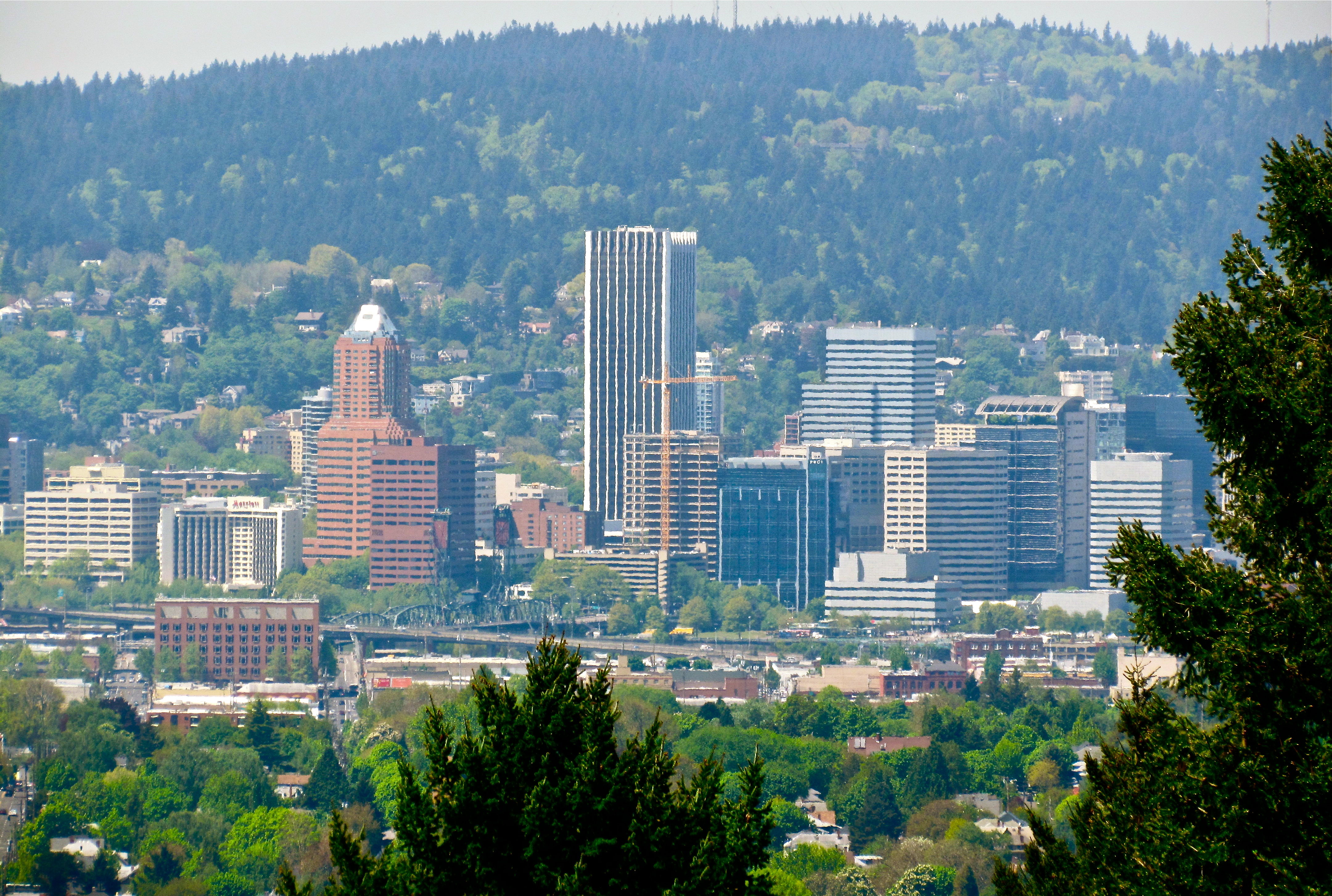Portland Oregon Skyline Beautiful Scenery Photography