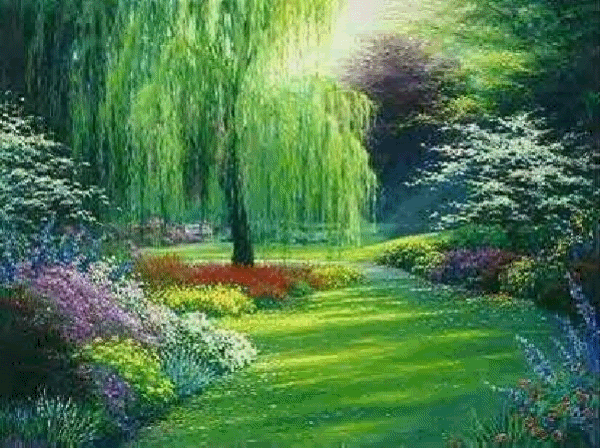Weeping Willows Tree Willow Amazing Trees Paintings Of