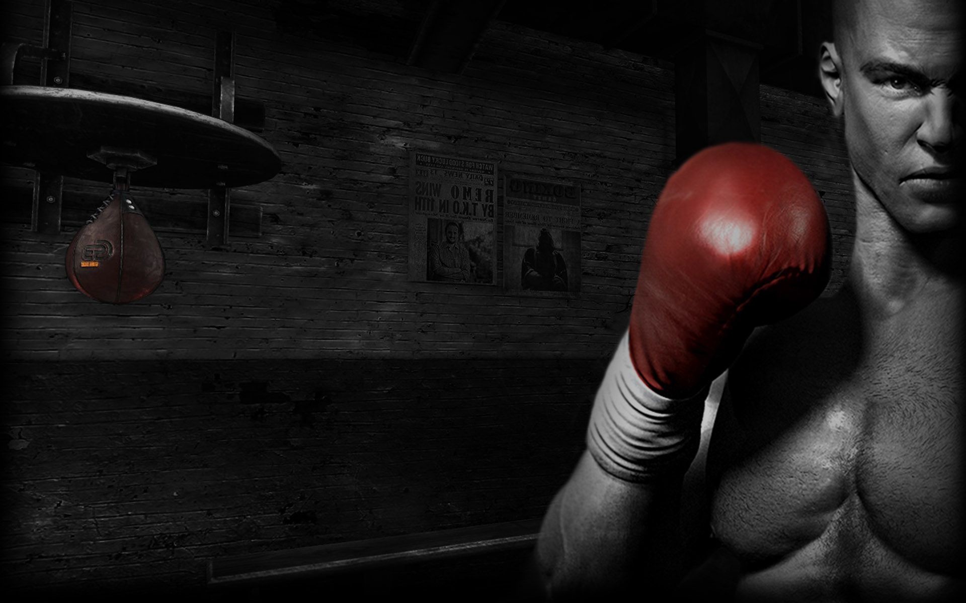 Boxing Training Wallpaper HD Background Itl Cat