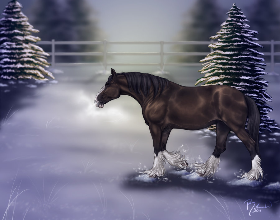 Budweiser Clydesdales Wallpaper Christmas Christmas clydesdale by