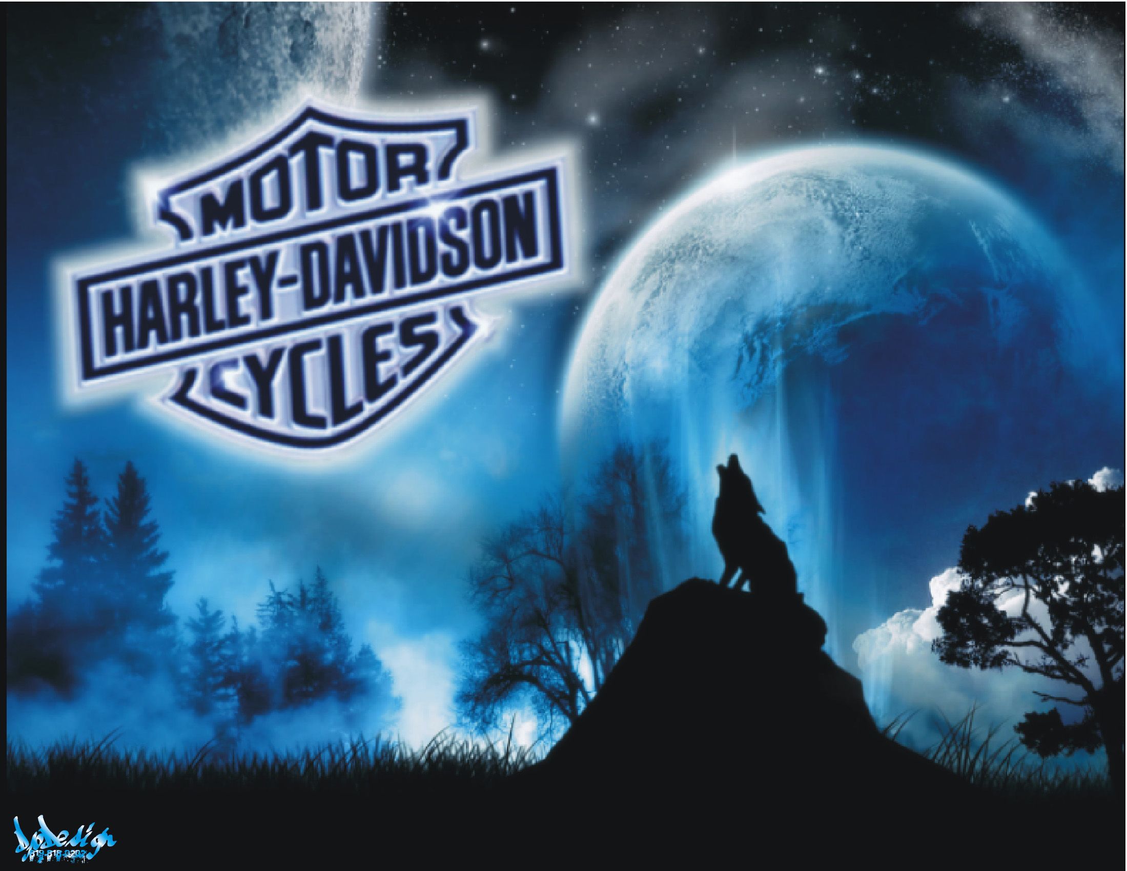 Loup Blue Harley Davidson Logo Motorcycle Night Nuit Wolf