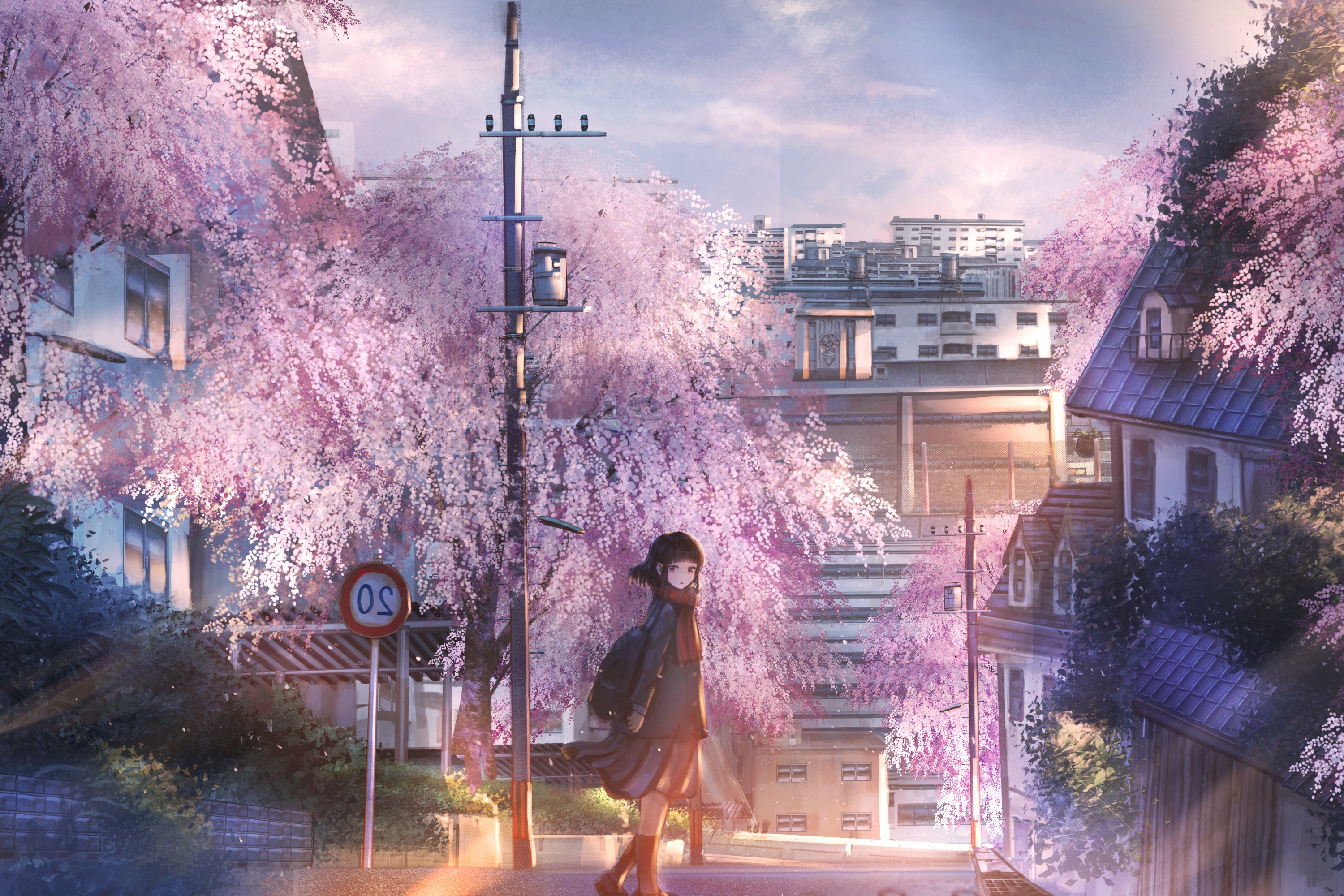 Wallpaper Anime School Girl Landscape Sakura Blossom