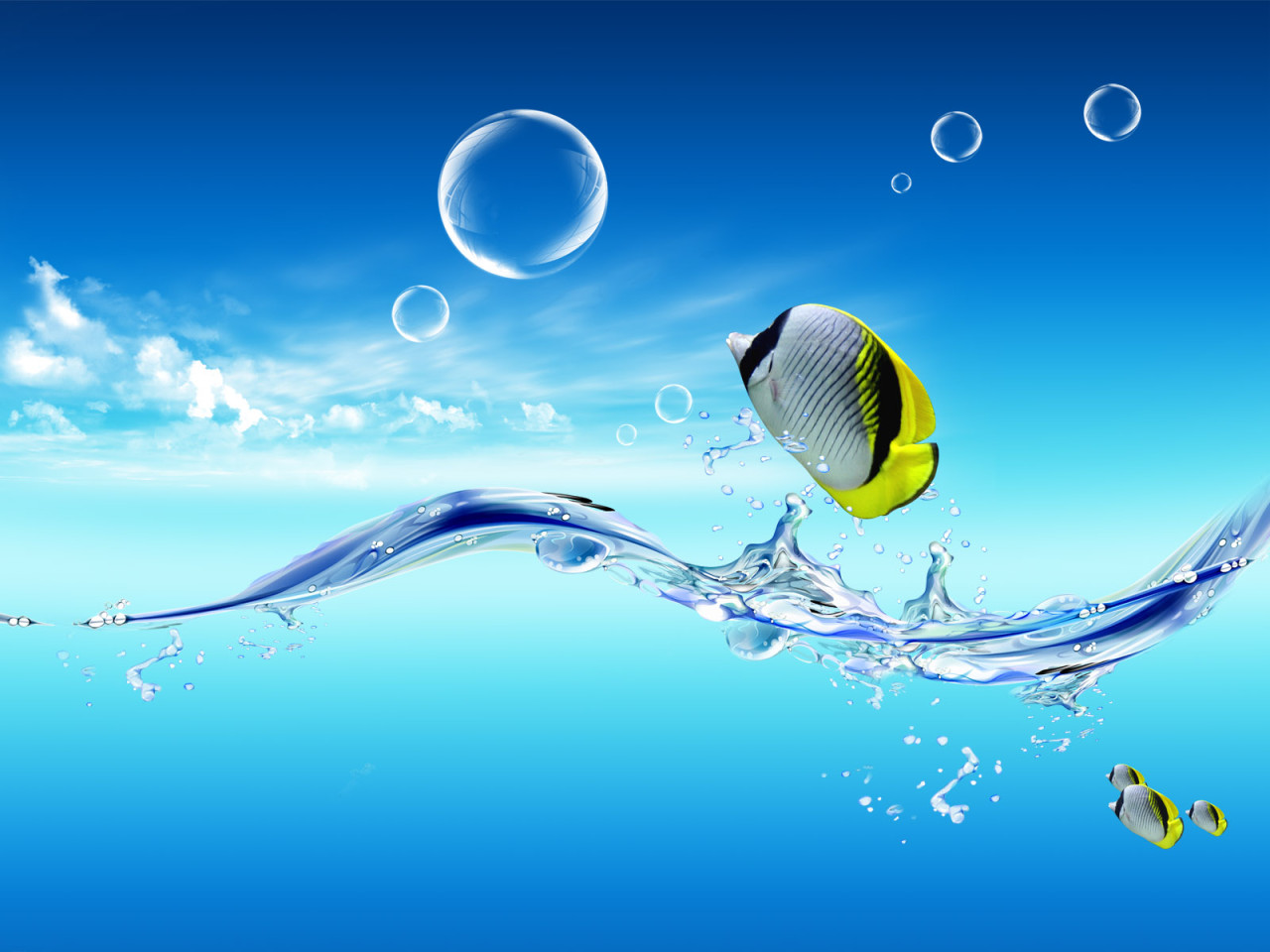 Beautiful Fish HD Desktop Wallpaper