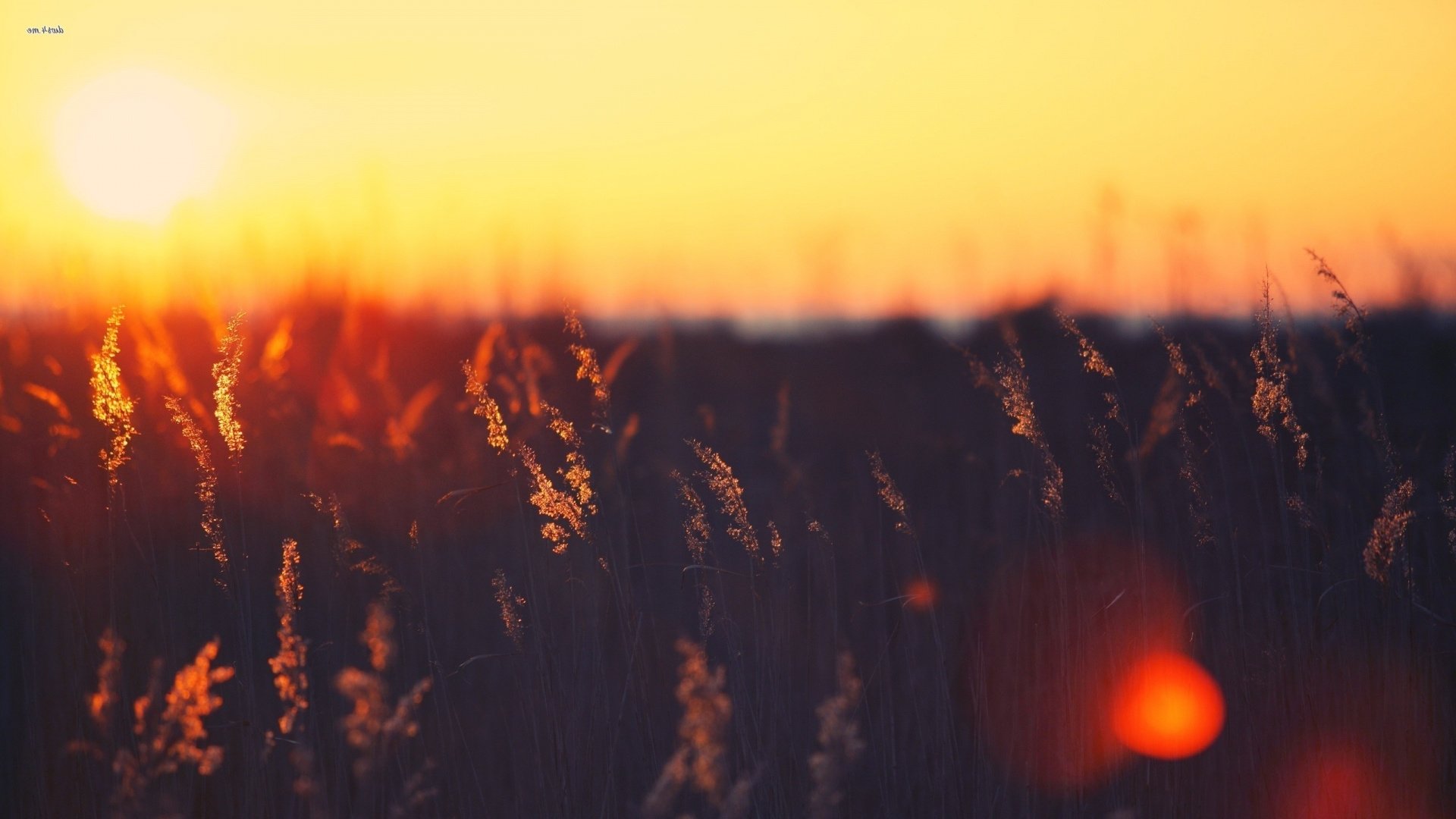 Orange Aesthetic Wallpaper