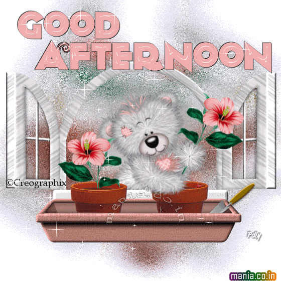 Free download Scraps Mania scraps Mania Wallpapers Fastival Orkut Scrap