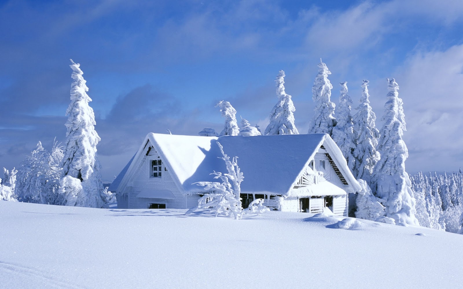 Beautiful Nature Winter Wallpaper