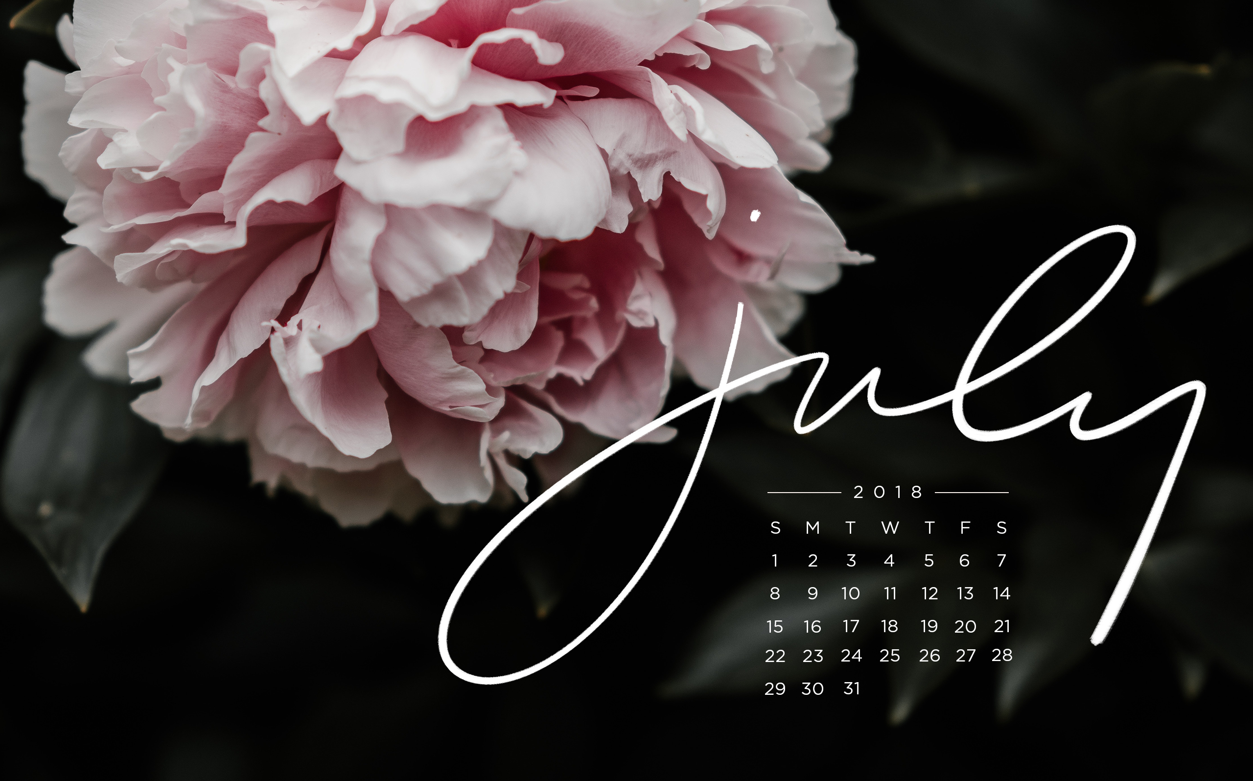 Able Tech Background For July The Everygirl