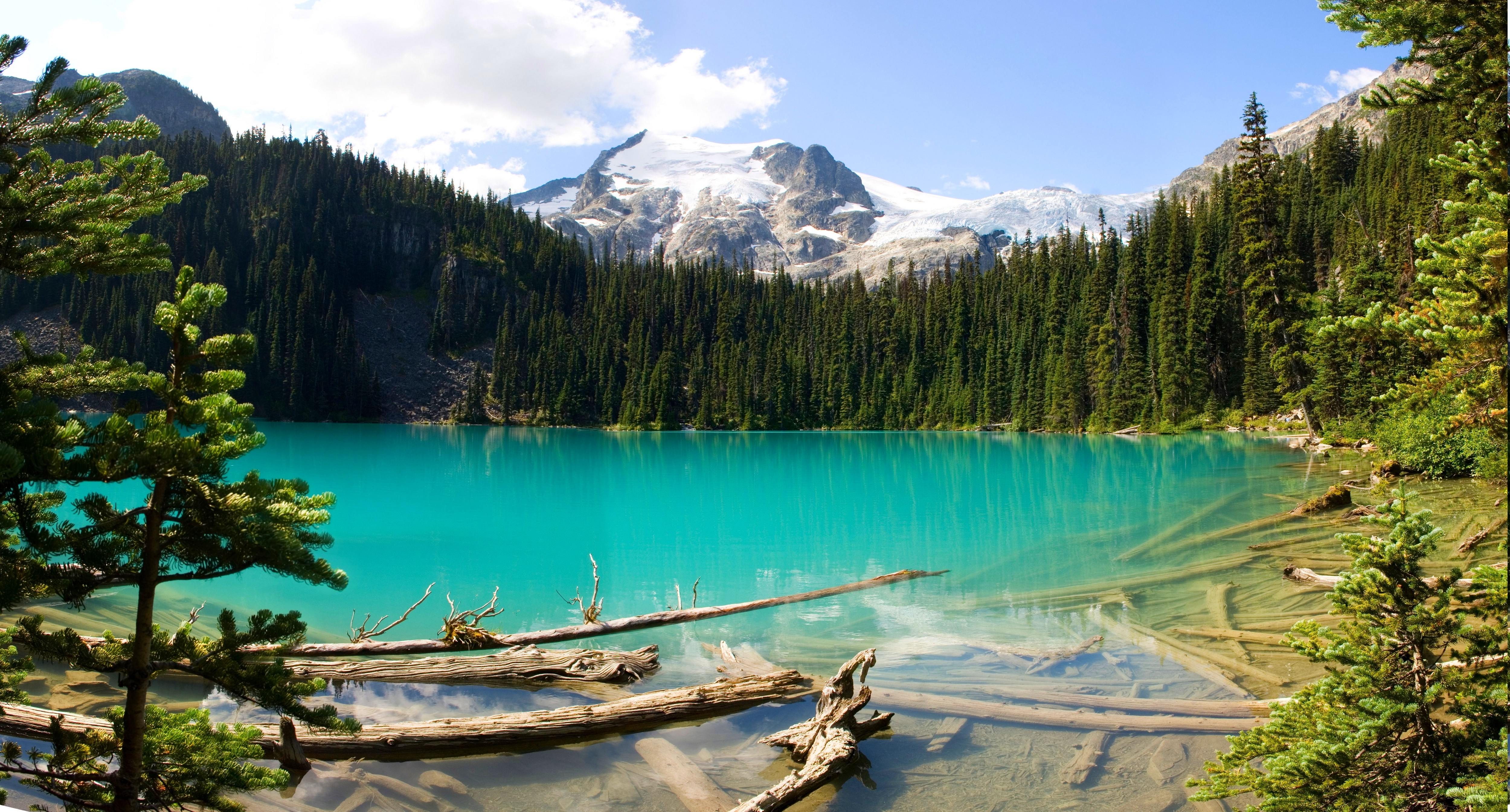 British Columbia Canada Lake Forest Mountain Turquoise Water Wallpaper