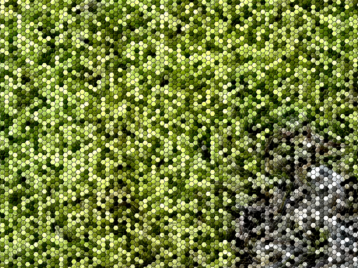 Mosaic Moss Wallpaper Background