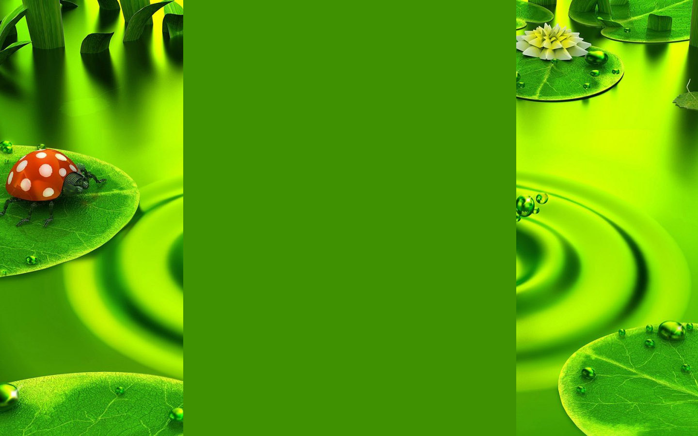 Image Summer Green Background Themes Wallpaper