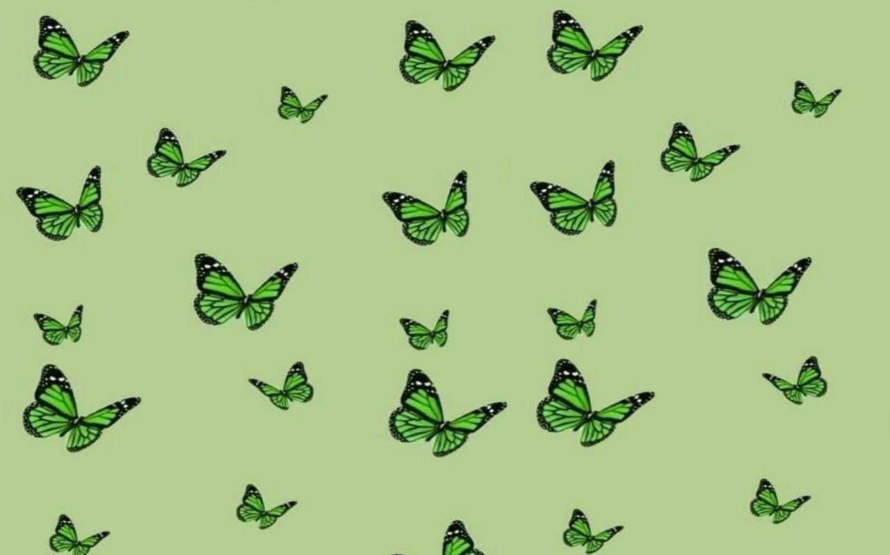 Re Color Butterflies Aesthetic Desktop Wallpaper