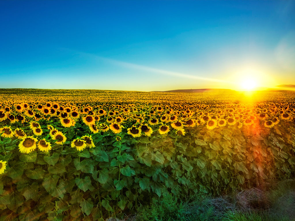 Tag Beauty Of Nature Desktop Wallpapers BackgroundsPhotos Images