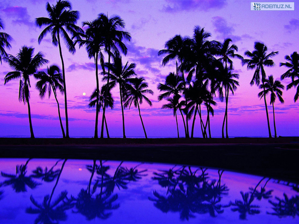 beautiful beach wallpaper HDAmazoncomAppstore for Android