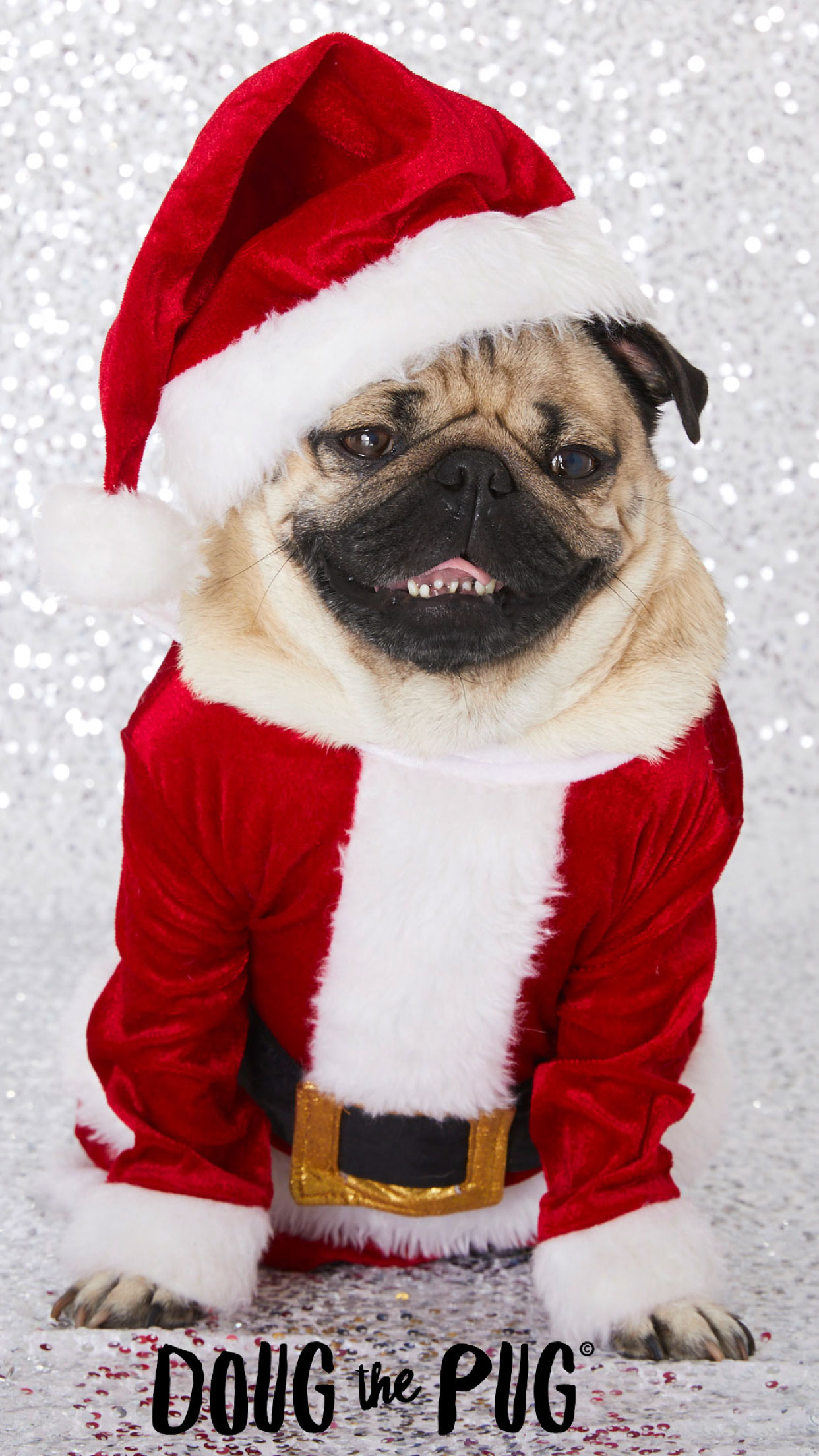 Doug The Pug Christmas Wallpaper Claires