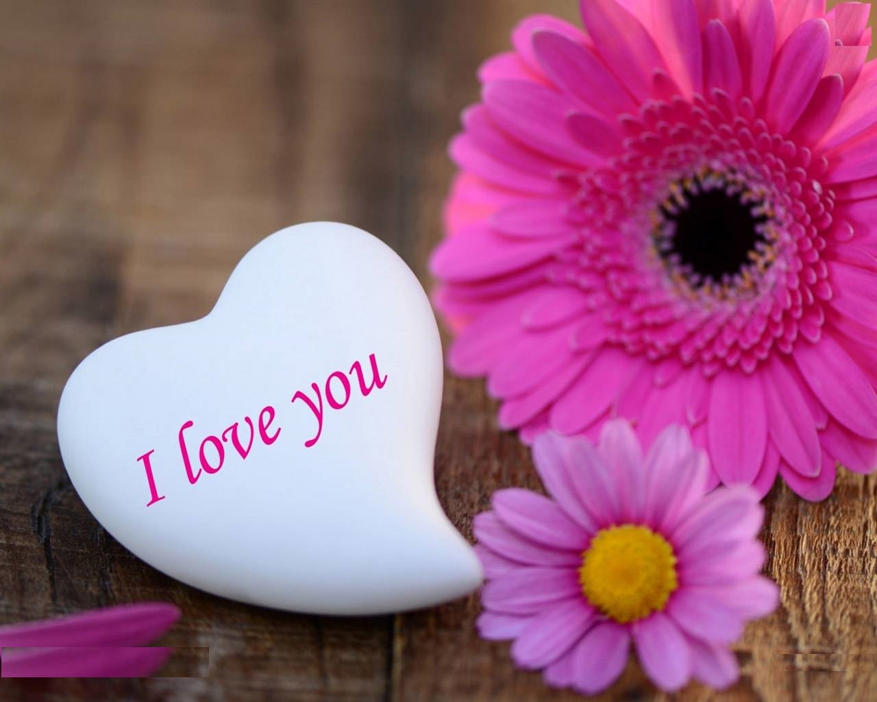 Obtain Love HD Wallpaper For Pc Image New