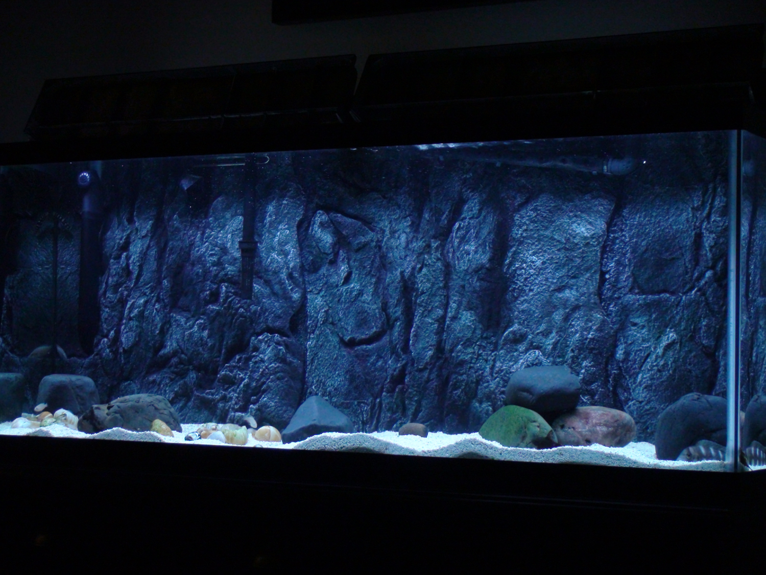Không gian bể cá sẽ trở nên sống động với 3D Background Aquarium, các bạn không chỉ có thể cho cá bay lượn trong không gian tươi tắn mà còn có thể trang trí rực rỡ cho ngôi nhà của mình đấy.