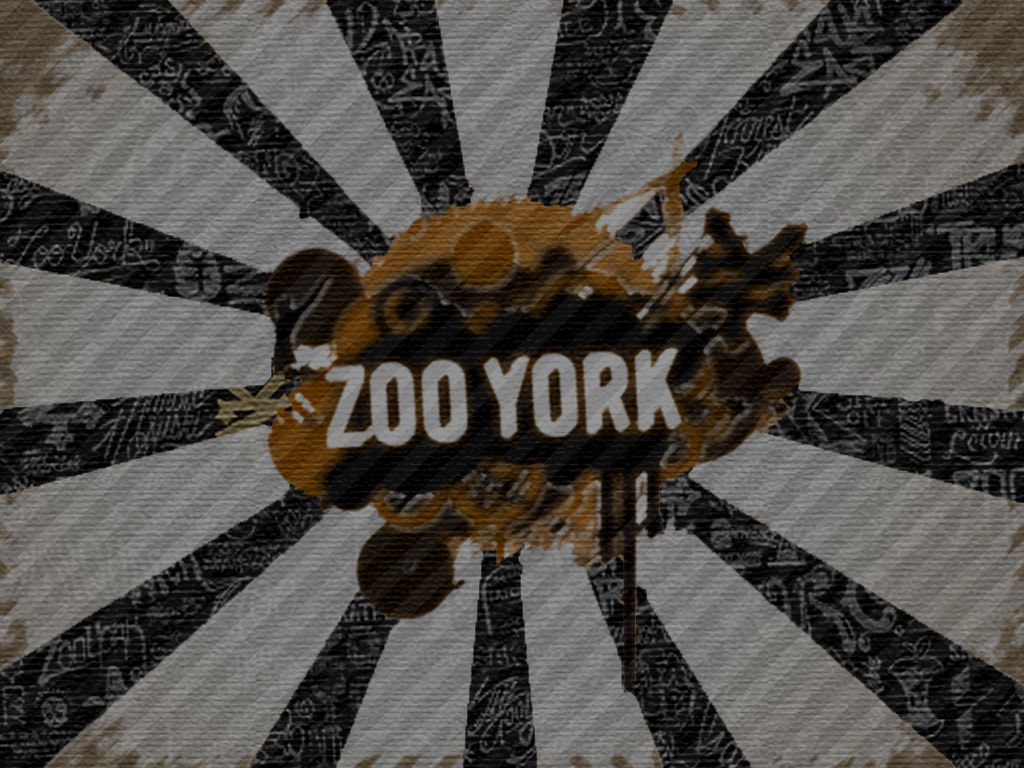 Zoo York Logo Wallpaper By Chee