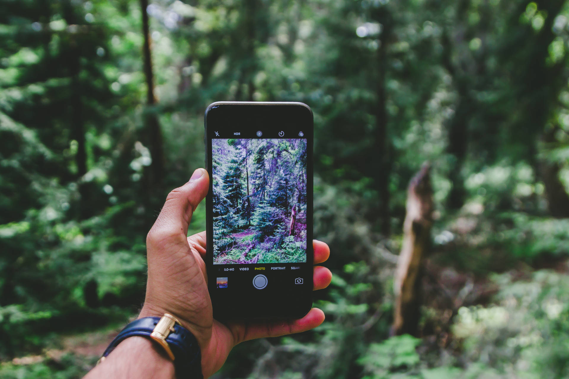 Photography iPhone Wallpaper