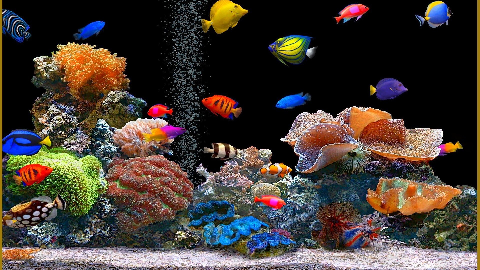 Moving Aquarium Wallpaper Image