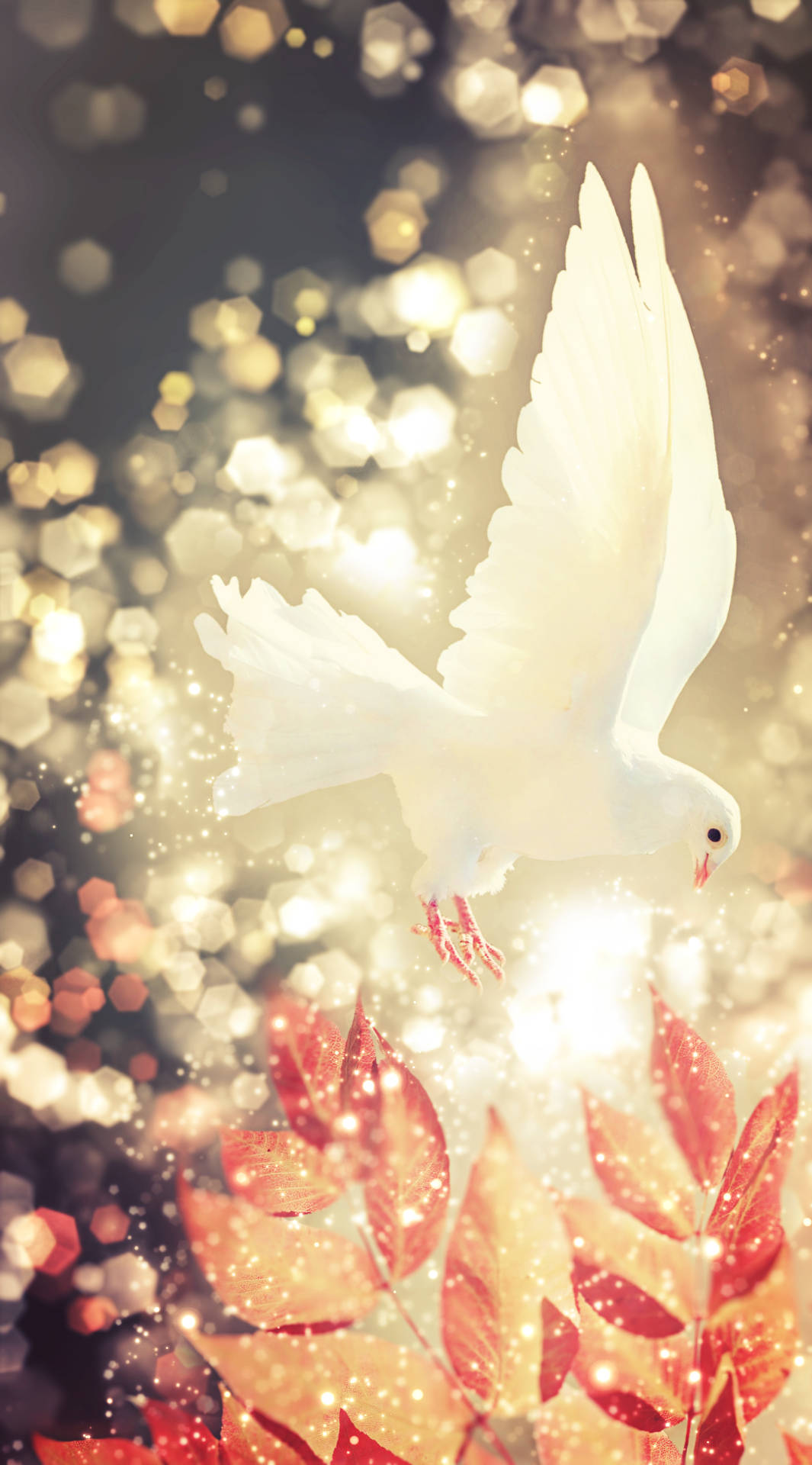 White Dove Bokeh And Autumn Leaves Mxae93djtmhlcm0g Wallpaper