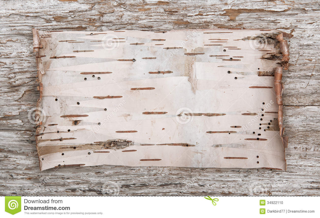 Birch Bark Wallpaper Wallpaper Full HD 1300x886