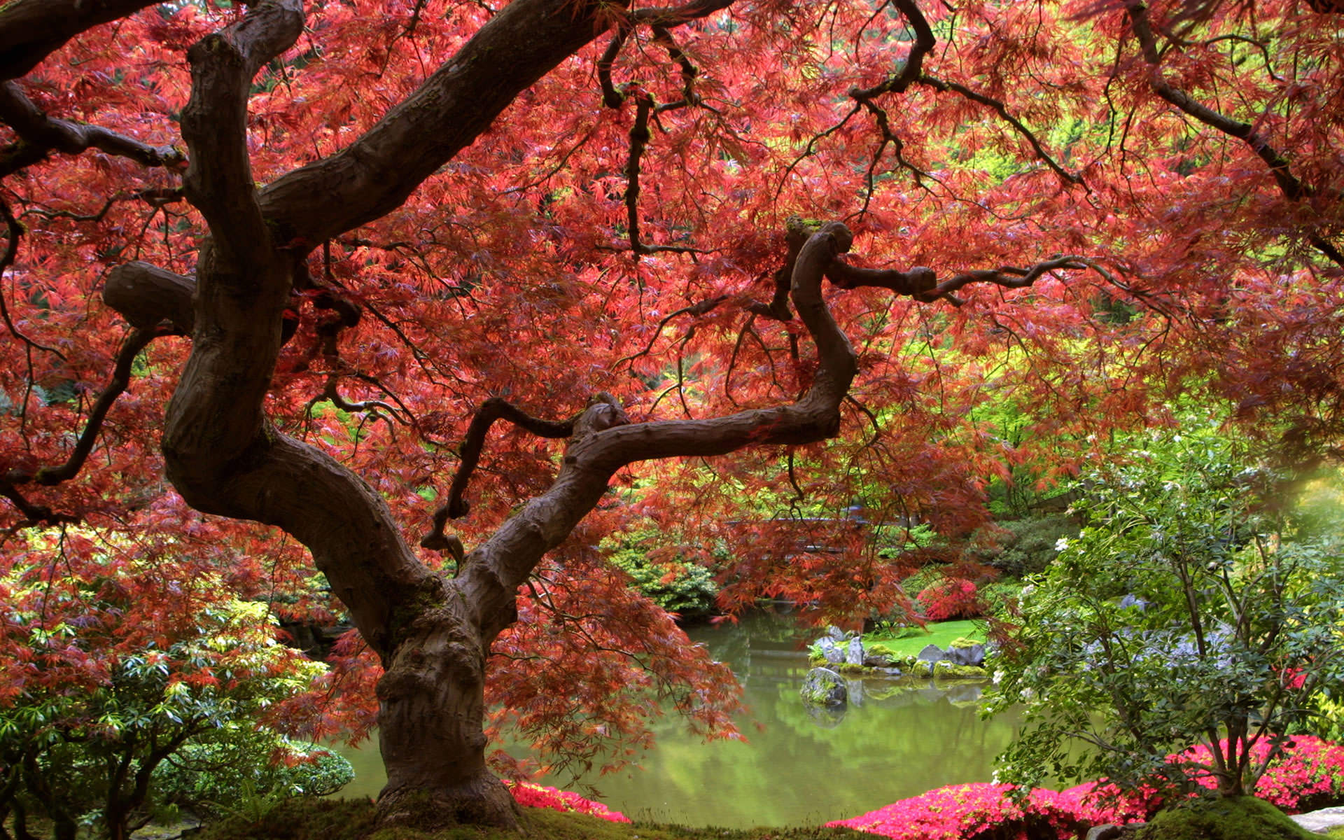 Autumn Wallpaper Nature Desktop