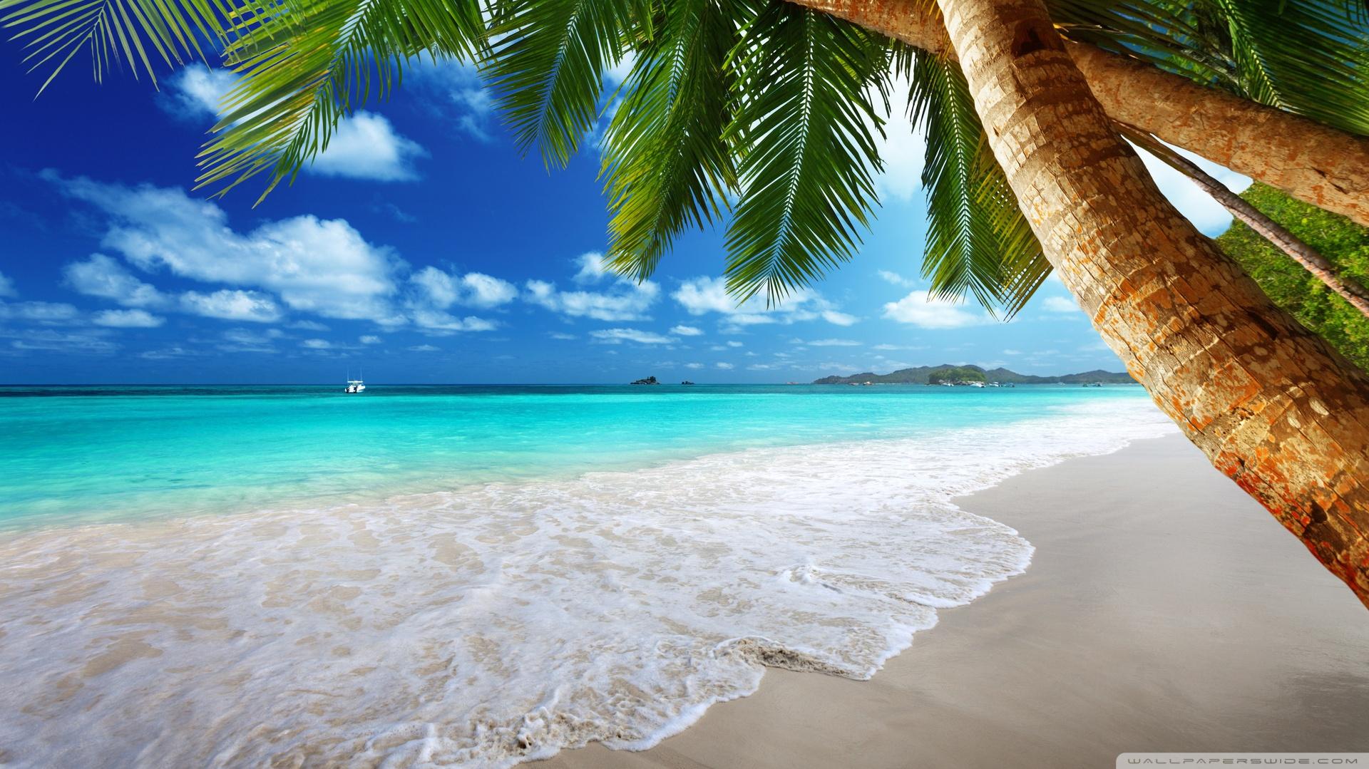 Desktop Wallpaper Paradise Tropical Beach HD Image Picture