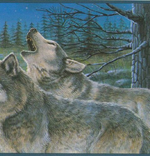 Slate Howling Wolf Wallpaper Border