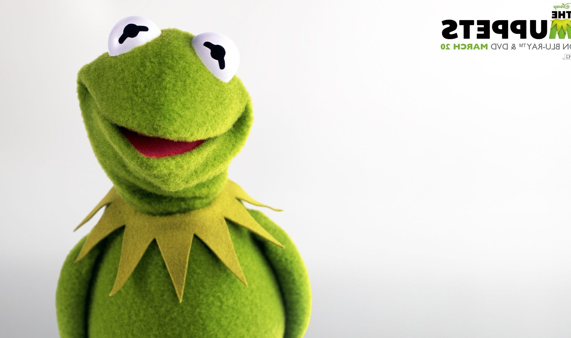 Kermit The Frog Computer Wallpaper On