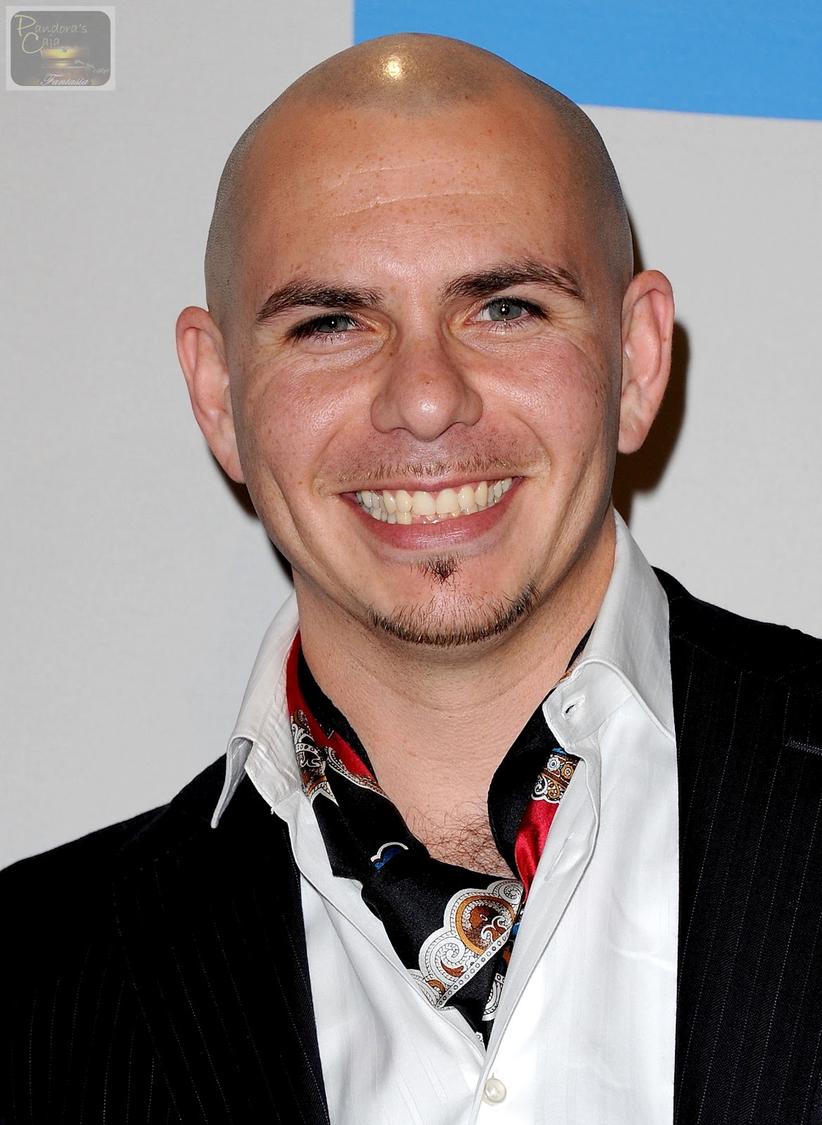 Pitbull Rapper Wallpapers Pictures Hd Wallpapers