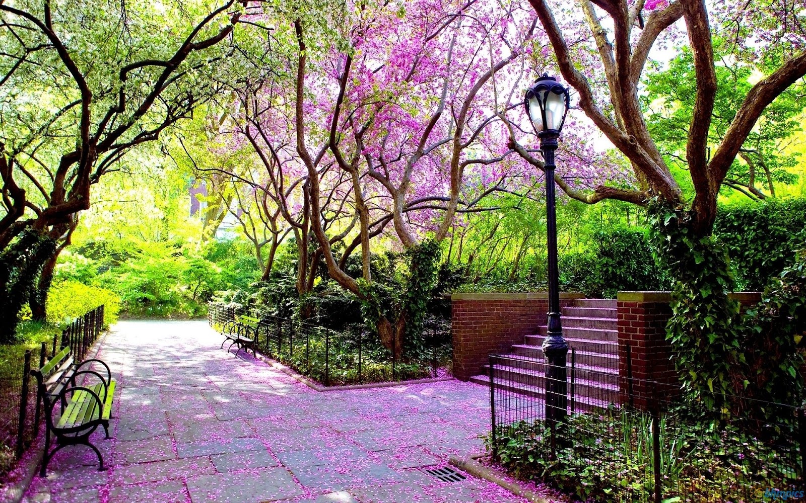 Beautiful Spring Park Widescreen Wallpaper