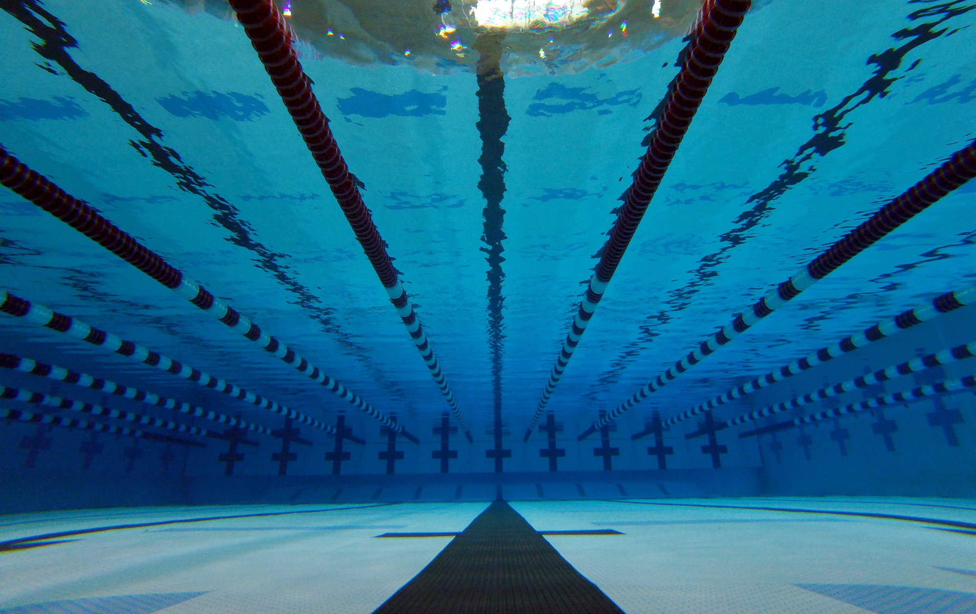 Swimming Wallpaper All Superior