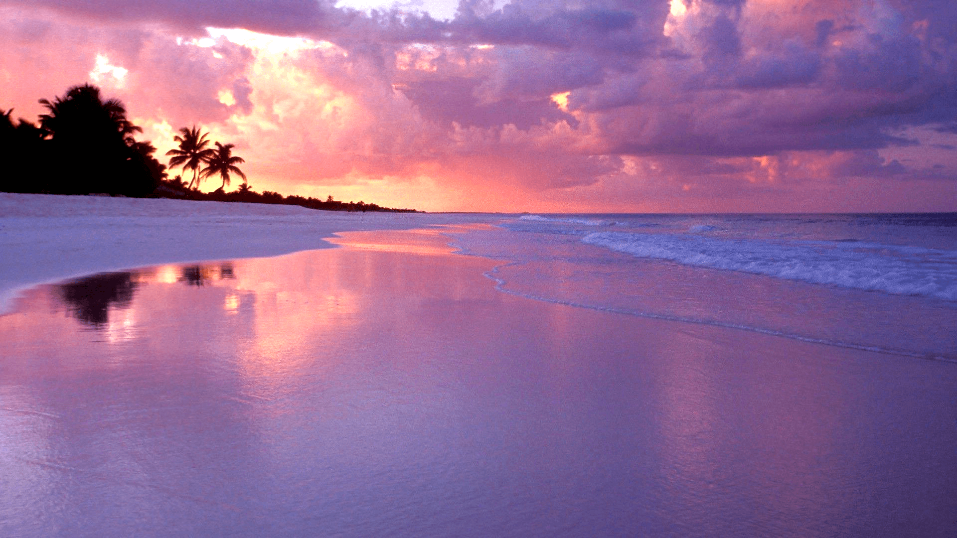 A breathtaking 4K wallpaper of a tropical beach at sunset. The sky is a stunning mix of pink, purple, and orange hues, reflecting beautifully on the wet sand and gentle waves. Palm trees silhouette against the vibrant sky, creating a serene and idyllic scene