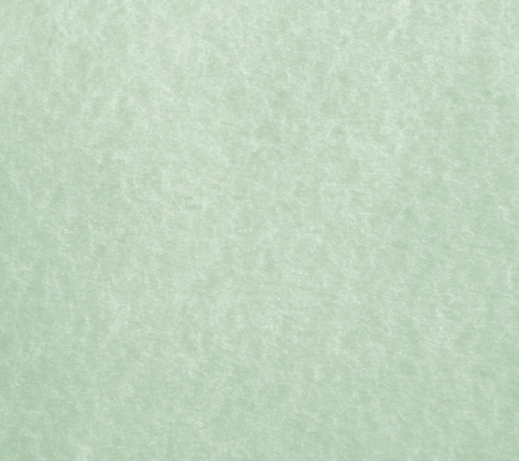 Sage Green Parchment Paper Background 1800x1600 Background Image