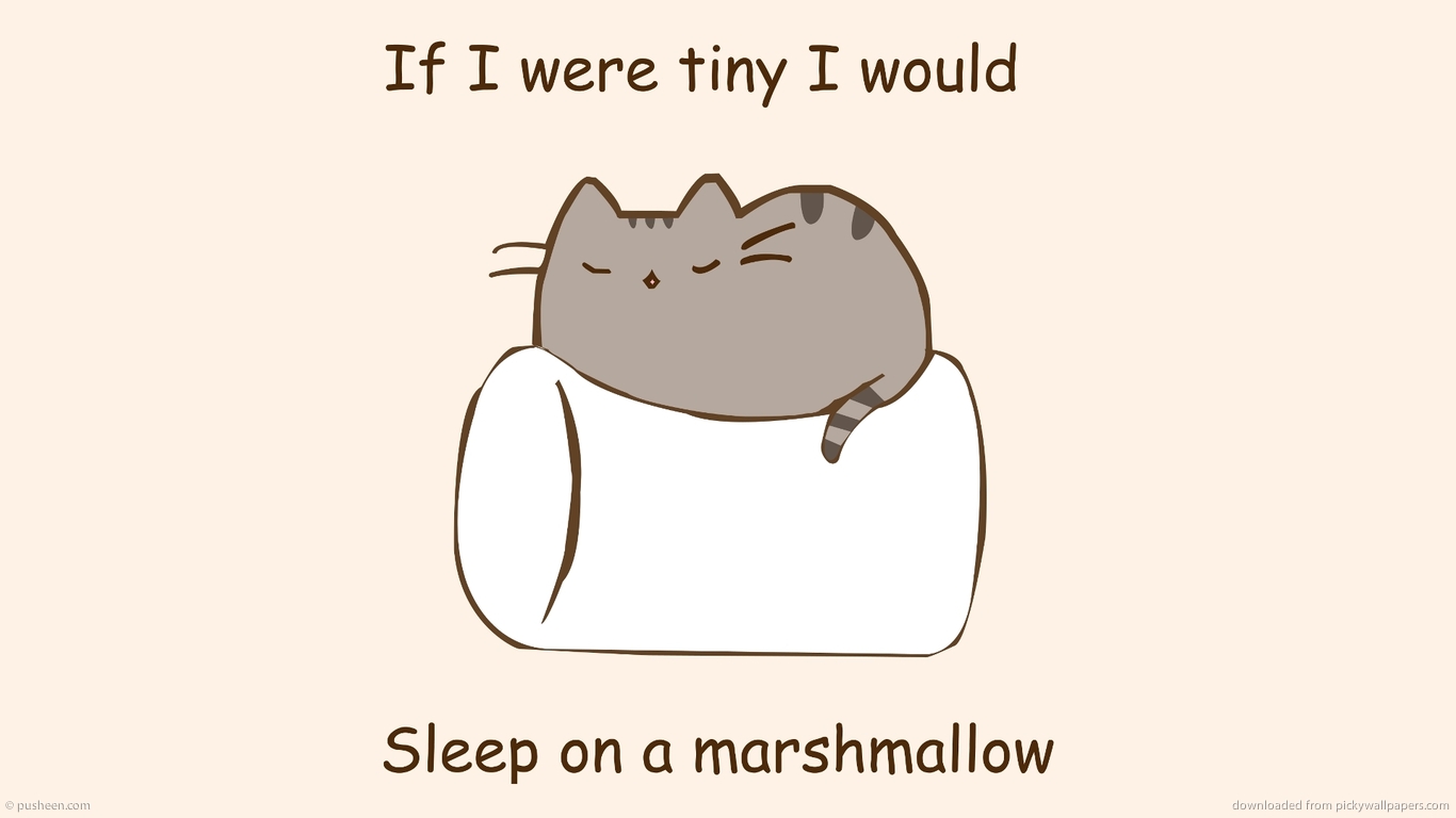 Pusheen Wallpaper for Kindle on