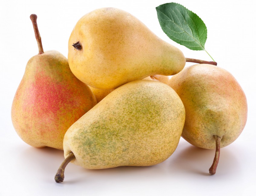 Pear White Background Fruits Stock Photos Image HD