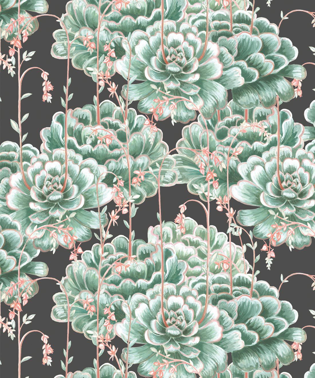 Succulents Wallpaper Stunning Cactus Design Milton King Usa