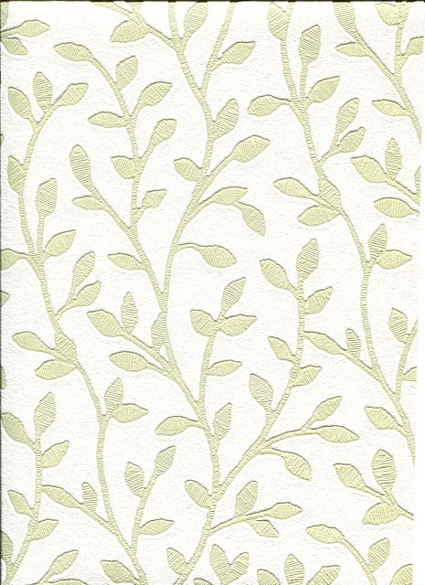 pastel green color aesthetic wallpaper design with floral pattern wall  decoration for home interior 11189963 Vector Art at Vecteezy